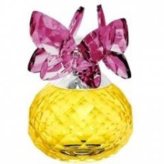 Flower Season - Butterfly Dreams